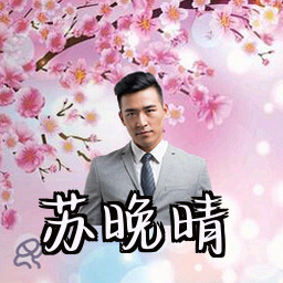 苏晚晴